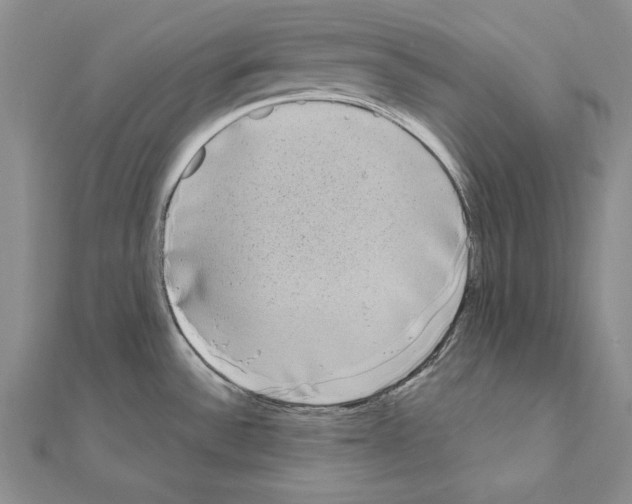 X0000111051532200908061507