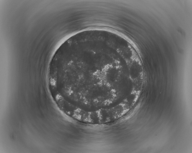 X0000111051533200908061507