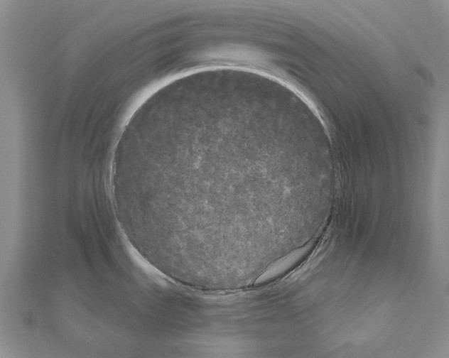 X0000111051535200908061507