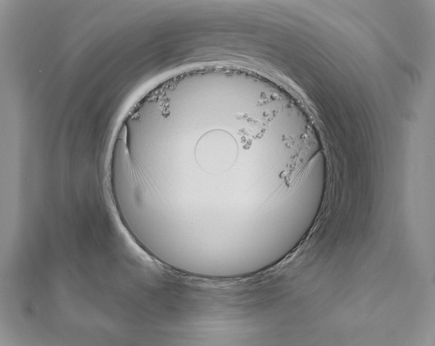 X0000111051536200908061507