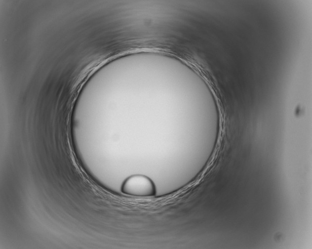 X0000111120001200906301052