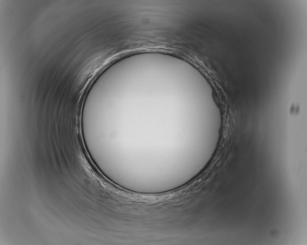 X0000111120002200906301052