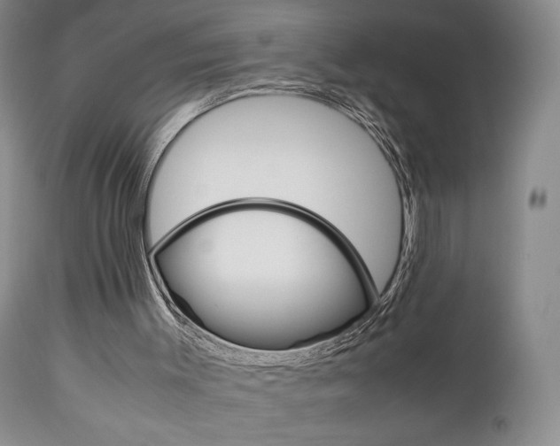 X0000111120003200906301052