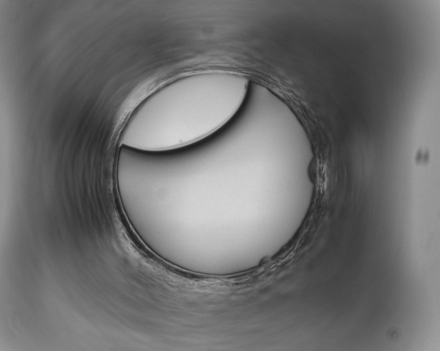 X0000111120004200906301052