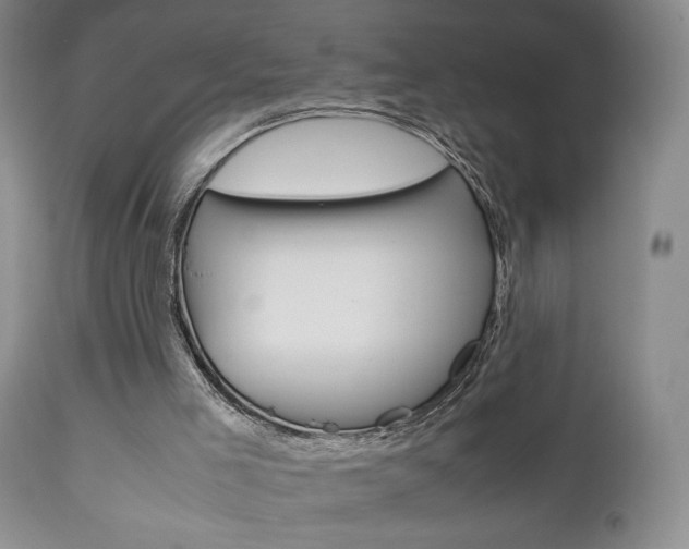 X0000111120005200906301052