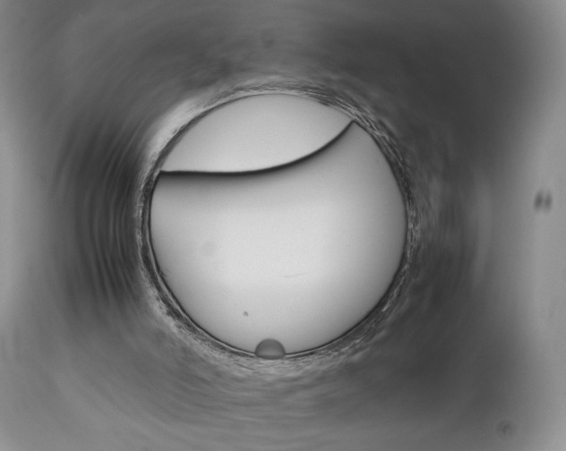 X0000111120006200906301052
