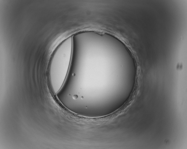X0000111120007200906301052