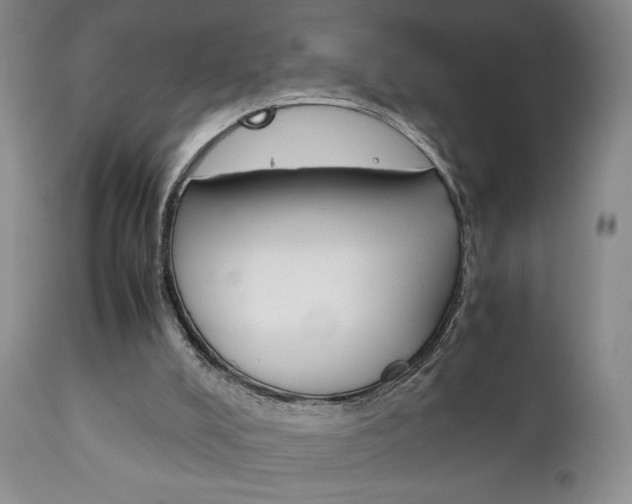 X0000111120008200906301052