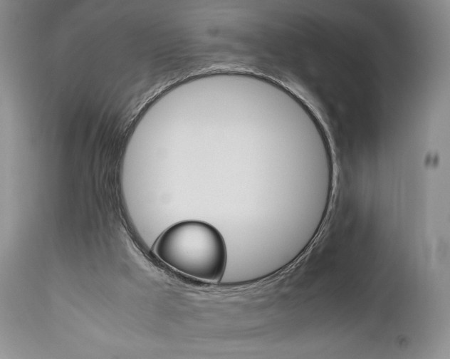 X0000111120009200906301052