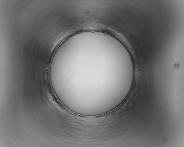 X0000111120010200906301052