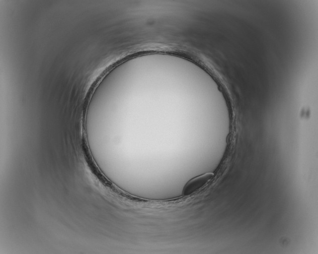 X0000111120011200906301052