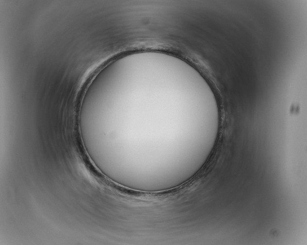 X0000111120012200906301052