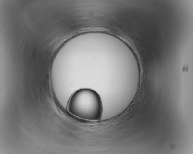 X0000111120013200906301052