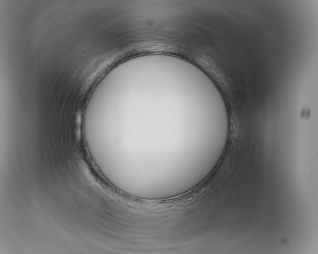 X0000111120014200906301052