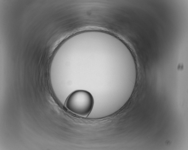 X0000111120015200906301052
