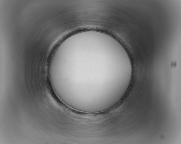 X0000111120016200906301052