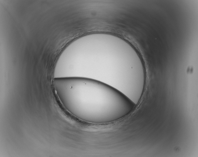 X0000111120017200906301052