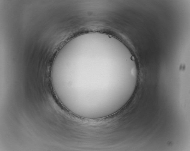 X0000111120018200906301052