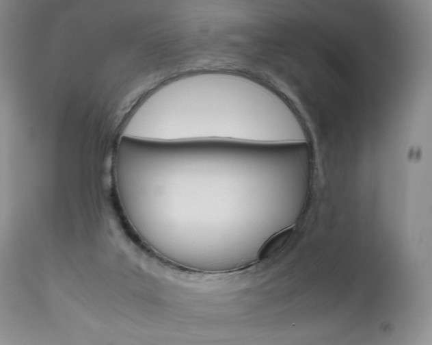 X0000111120019200906301052