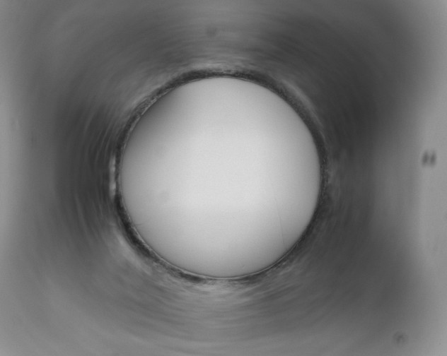 X0000111120020200906301052