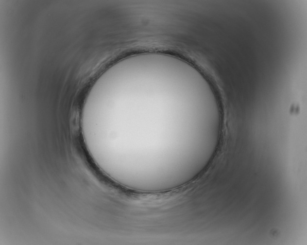 X0000111120021200906301052