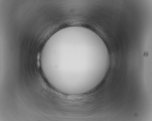 X0000111120022200906301052