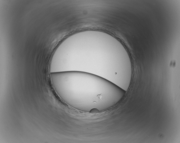 X0000111120023200906301052