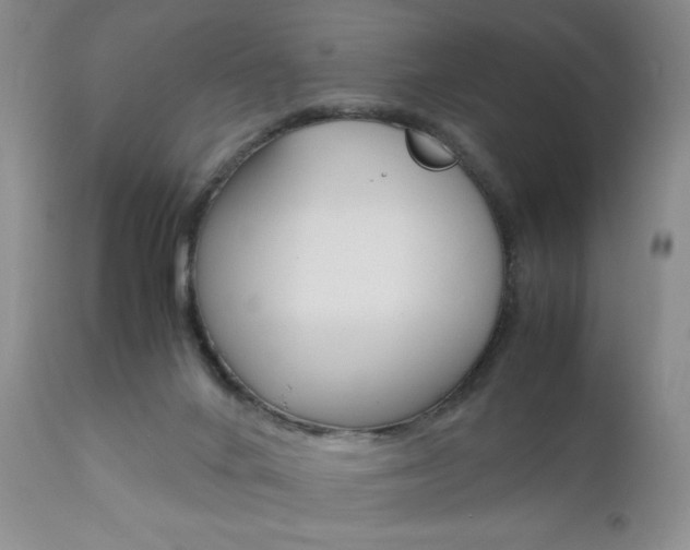 X0000111120024200906301052