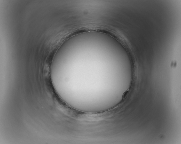 X0000111120025200906301052