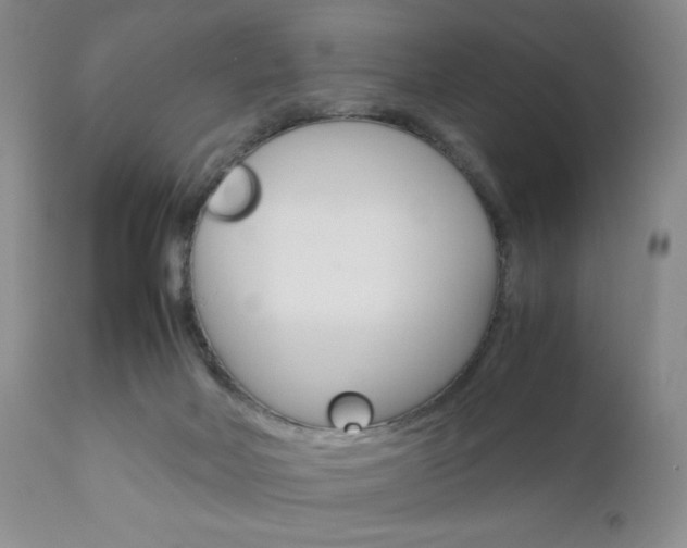 X0000111120026200906301052
