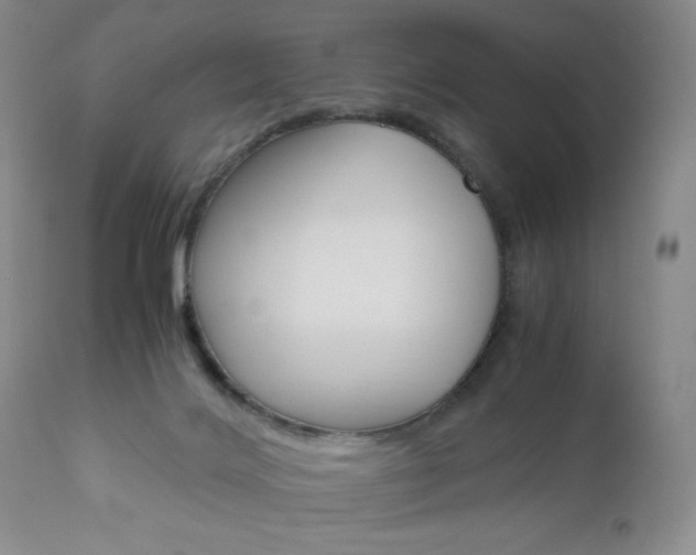 X0000111120028200906301052