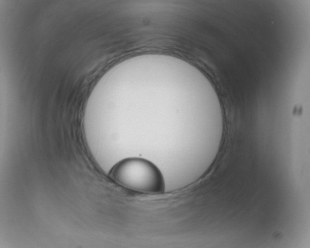 X0000111120029200906301052