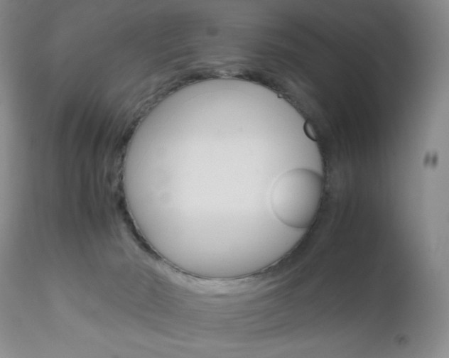 X0000111120030200906301052