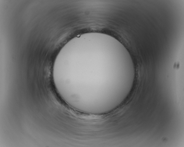 X0000111120032200906301052