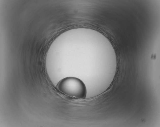 X0000111120033200906301051