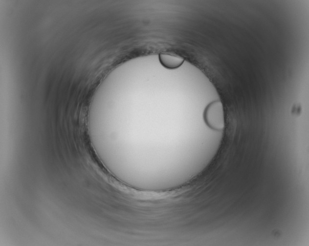 X0000111120034200906301051