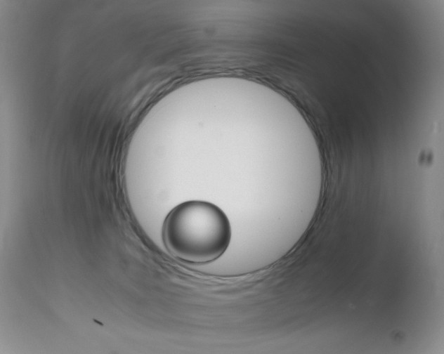 X0000111120035200906301051
