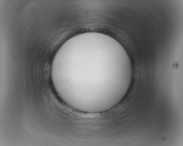 X0000111120036200906301051