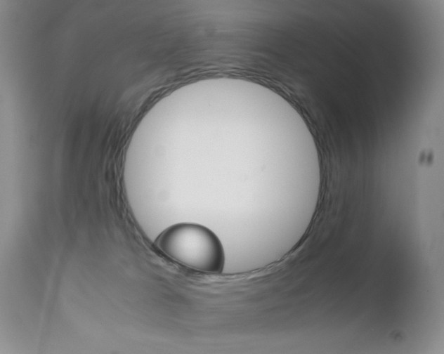 X0000111120037200906301051