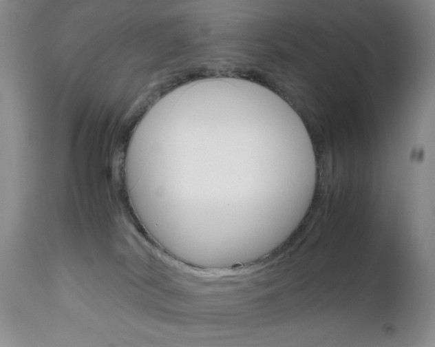 X0000111120038200906301051