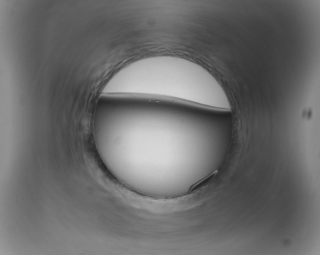 X0000111120039200906301051