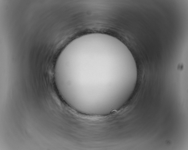 X0000111120040200906301051
