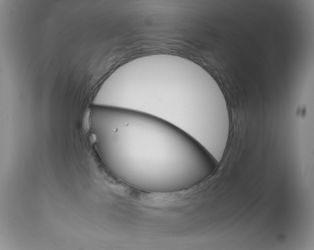 X0000111120041200906301051