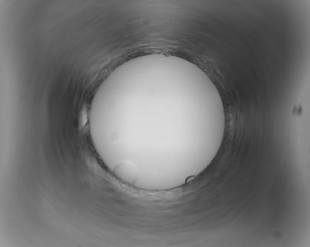 X0000111120042200906301051