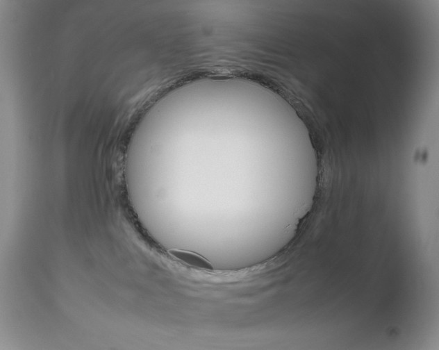 X0000111120043200906301051