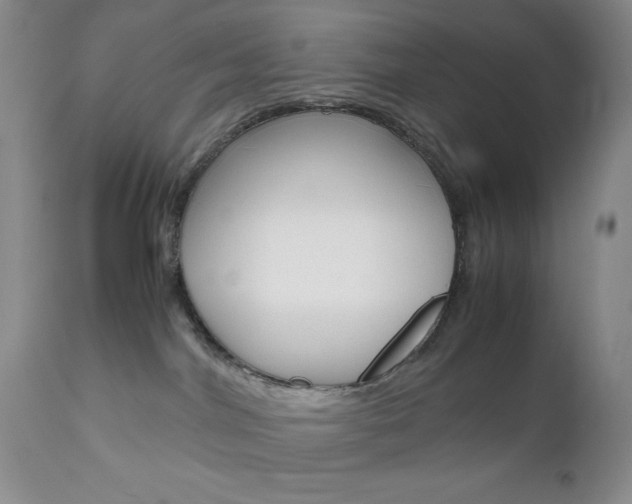 X0000111120044200906301051