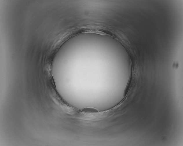 X0000111120045200906301051