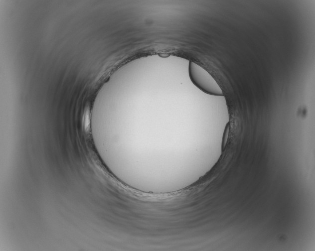 X0000111120046200906301051