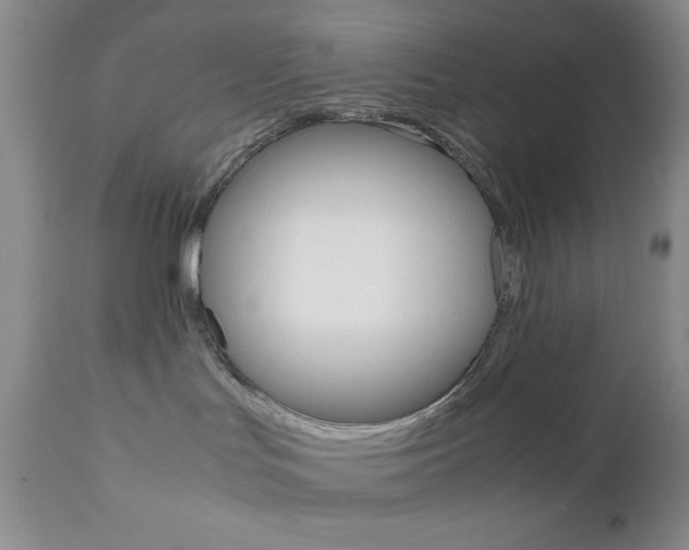 X0000111120047200906301051