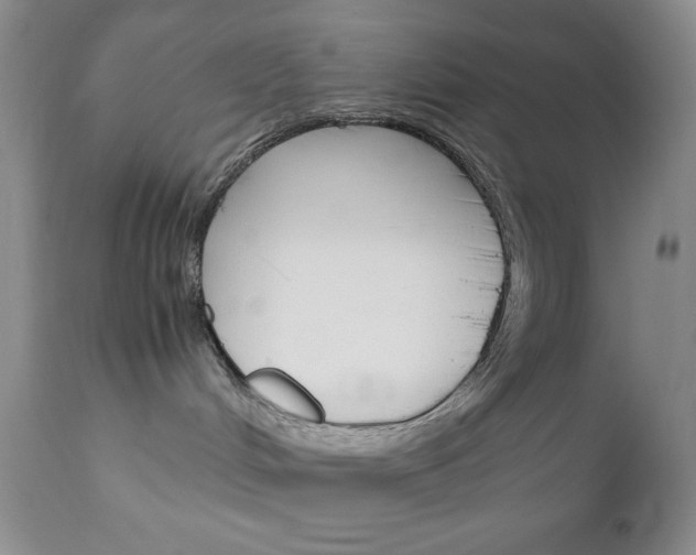 X0000111120048200906301051
